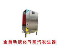全自动液化气蒸汽发生器