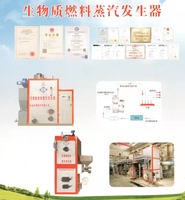 全自动生物质蒸汽发生器