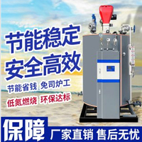 1吨超导冷凝燃油(气)蒸汽发生器